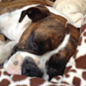 Meet your Posher, Cassandra